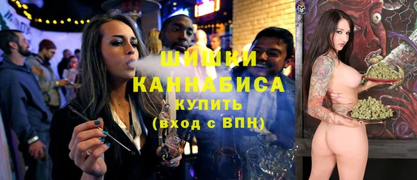 прущая мука Дмитриев