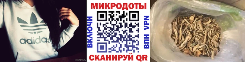 Псилоцибиновые грибы мухоморы  где продают наркотики  Няндома 